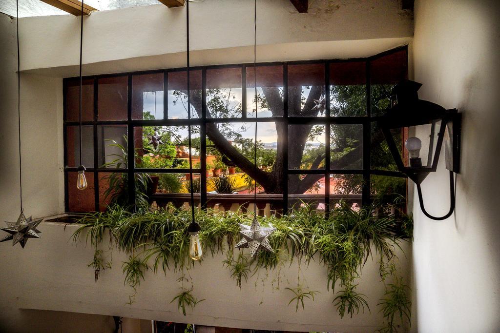 Coqueta Hotel Boutique San Miguel de Allende Kültér fotó